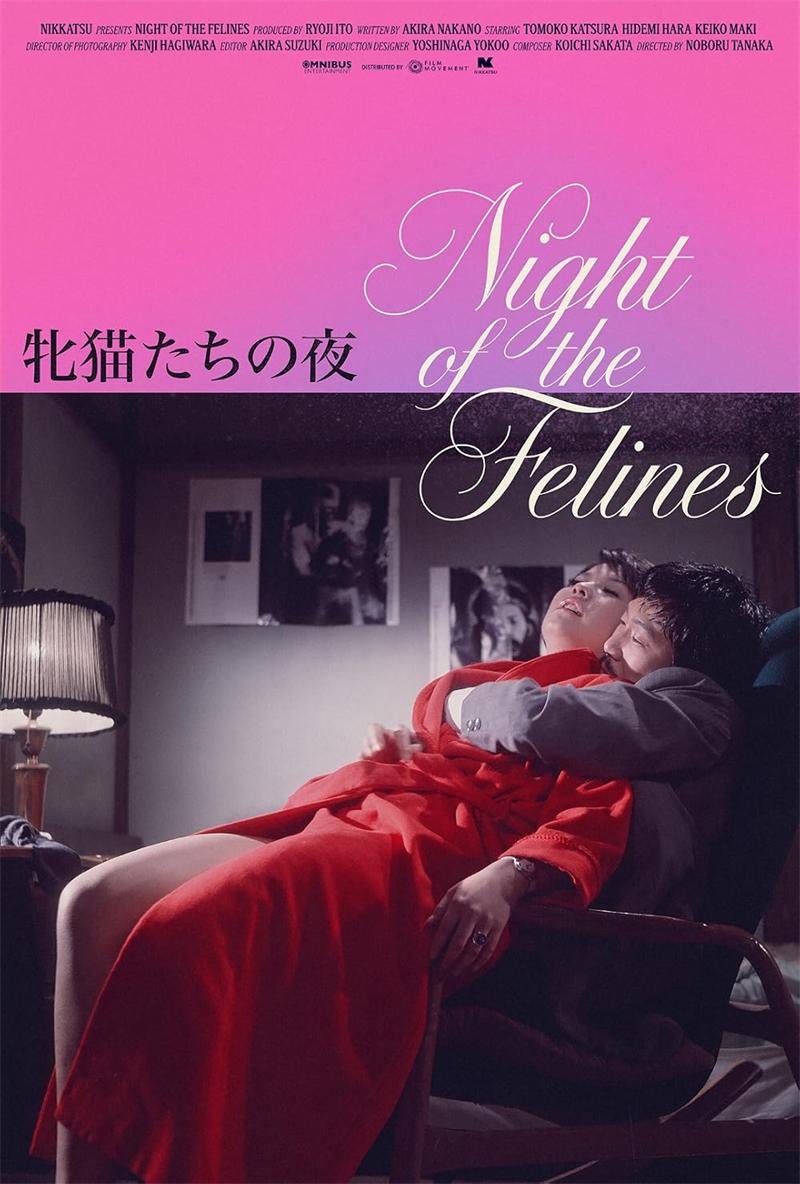性感野猫之夜