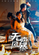 无声风暴(全集)